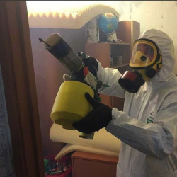 Уничтожение клопов в квартире. Радужный